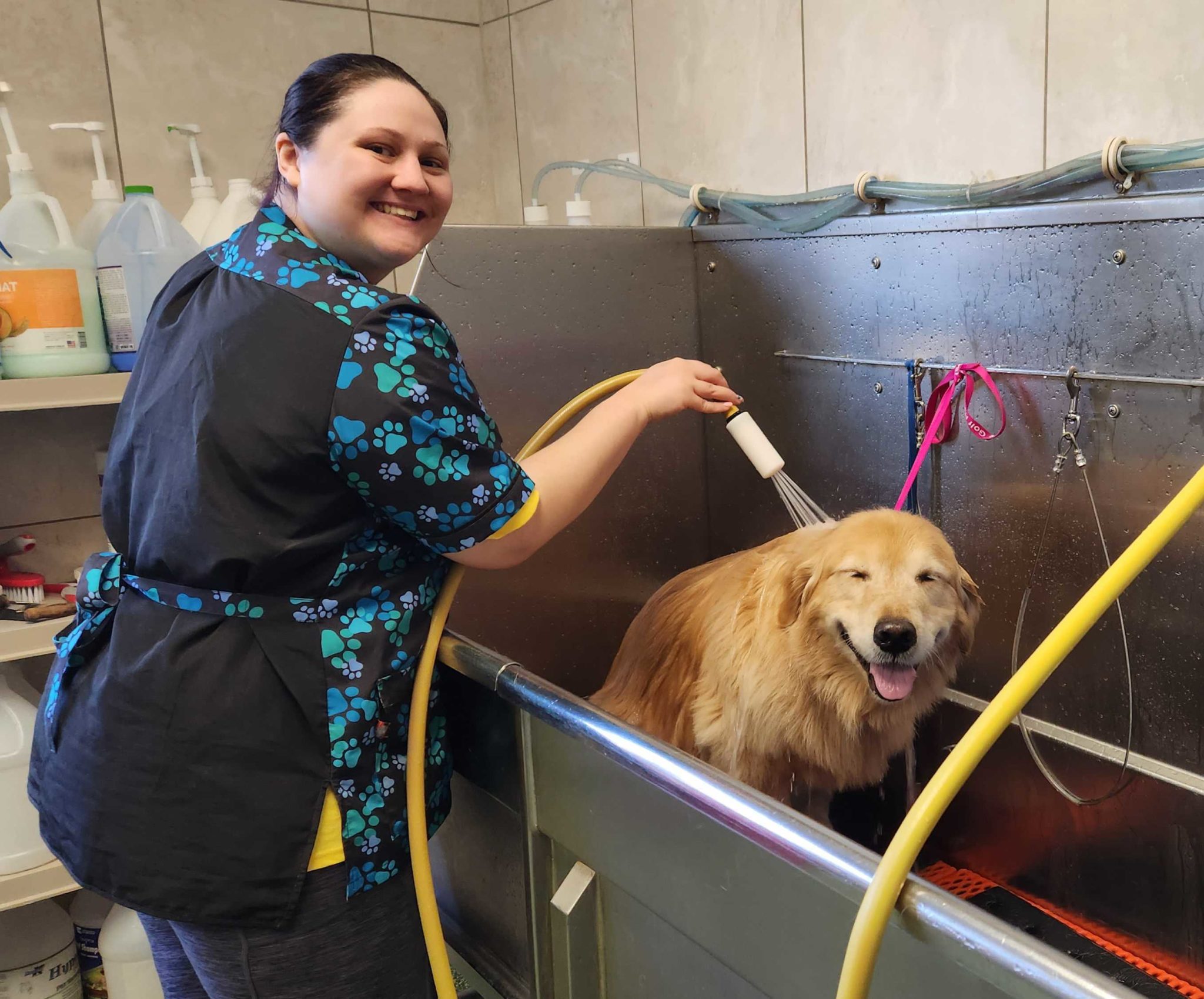 Dog & Cat Grooming Services Golf Rose Schaumburg