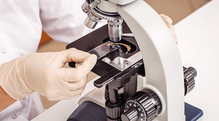 A microscope being used to test a pet's blood