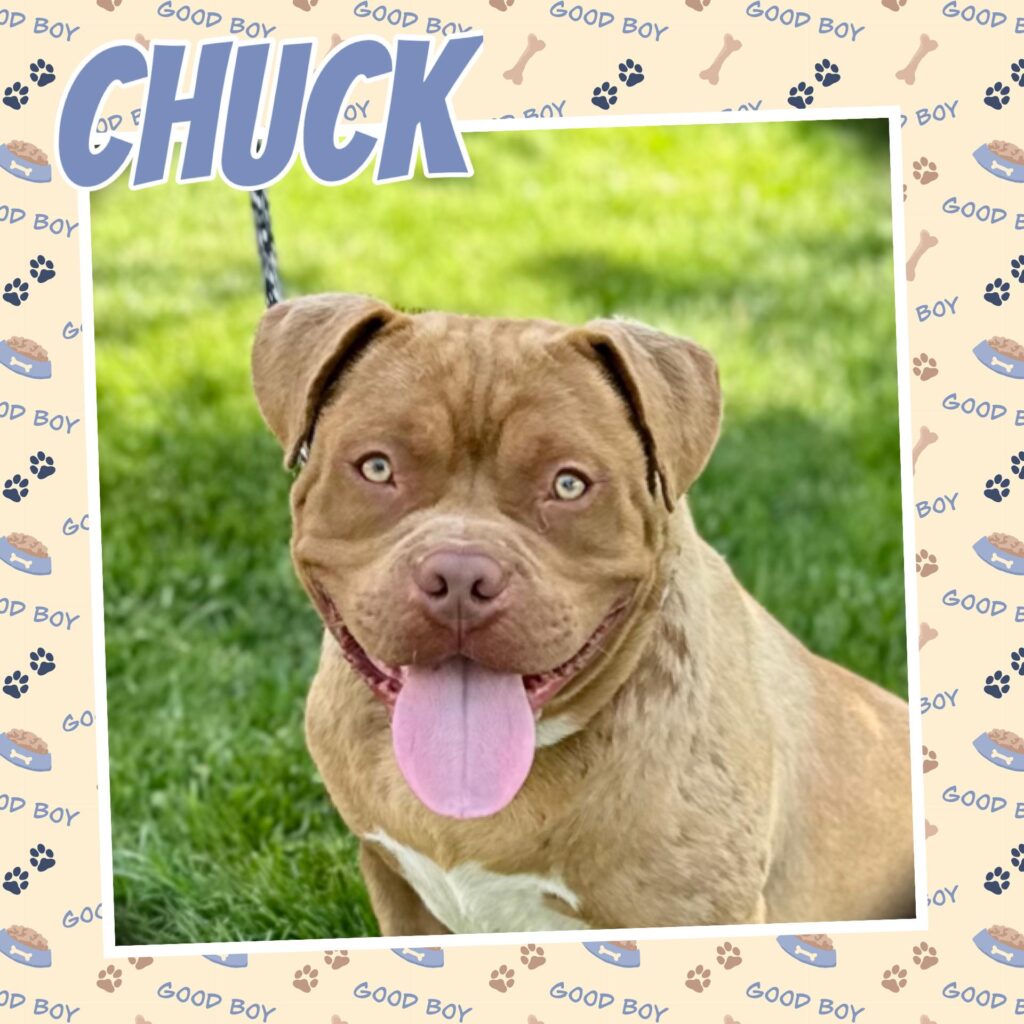 Chuck