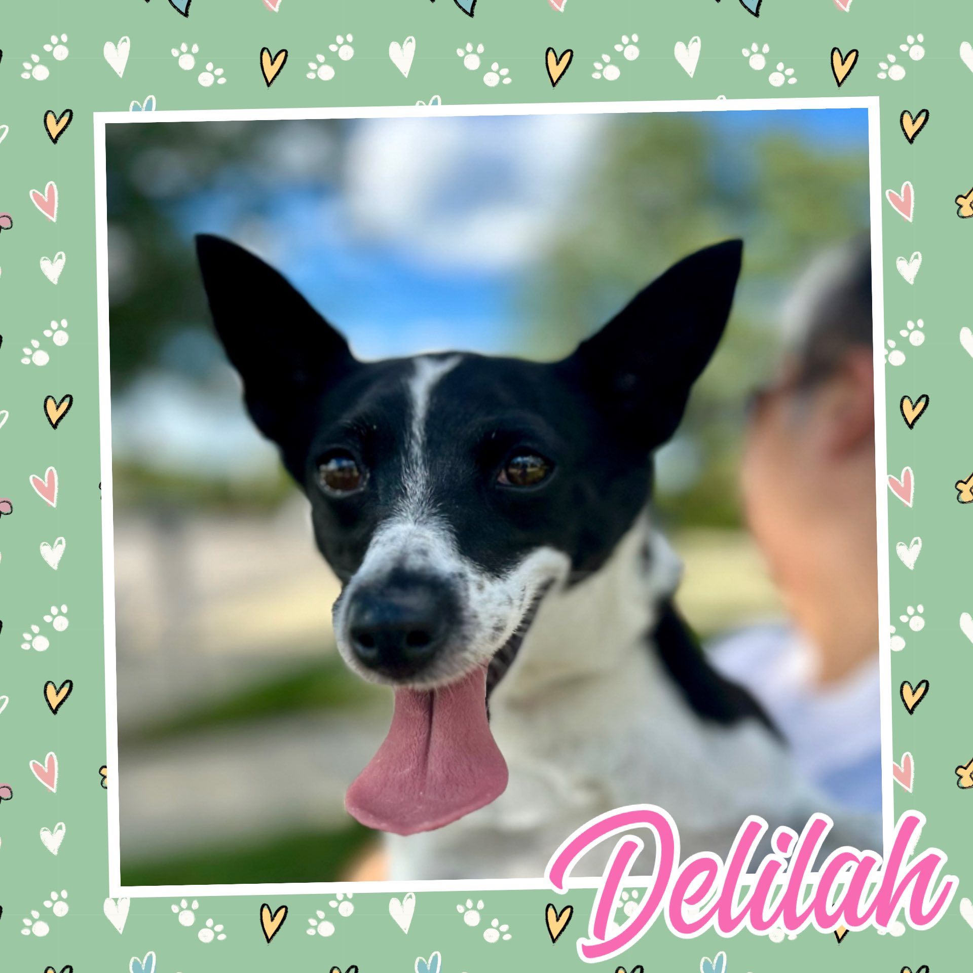 Delilah