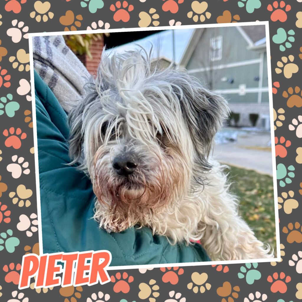 Pieter