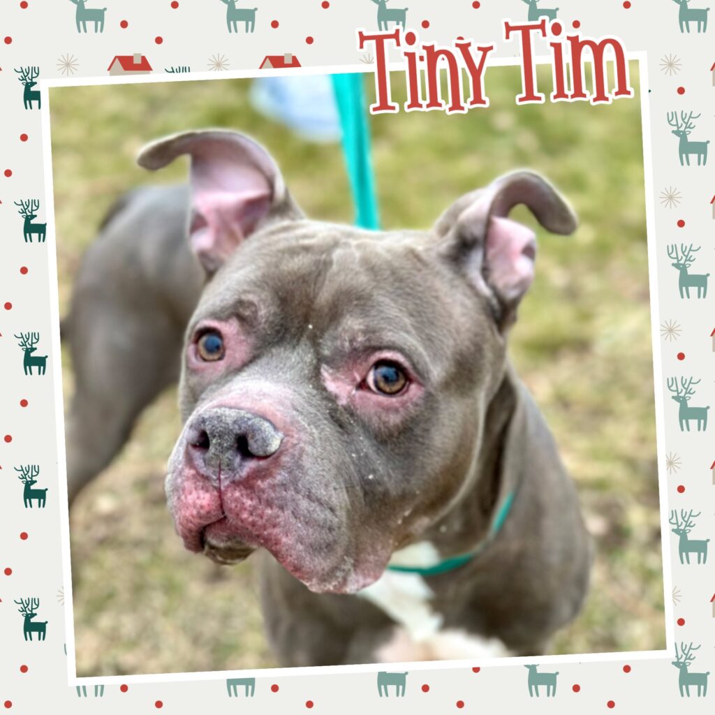 Tiny Tim
